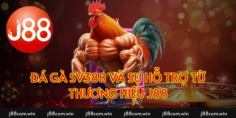 Đá gà SV388 và sự hỗ trợ từ thương hiệu J88