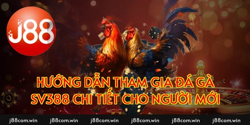 Hướng dẫn tham gia đá gà SV388 chi tiết cho người mới