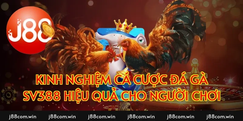 Kinh nghiệm cá cược đá gà SV388 hiệu quả cho người chơi