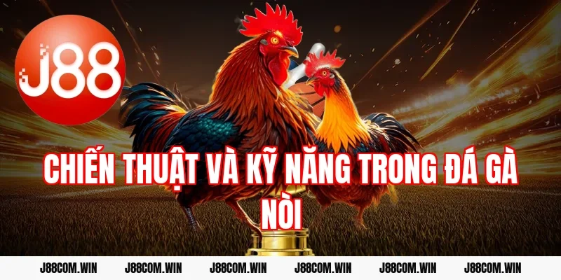 Chiến thuật và kỹ năng trong đá gà nòi