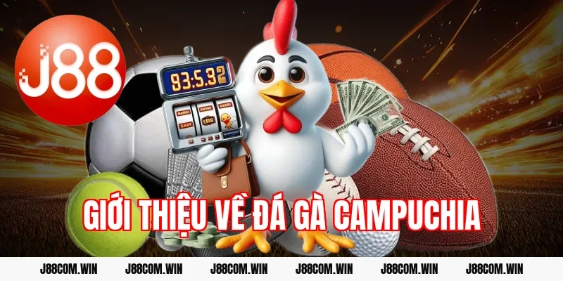Giới thiệu về đá gà Campuchia