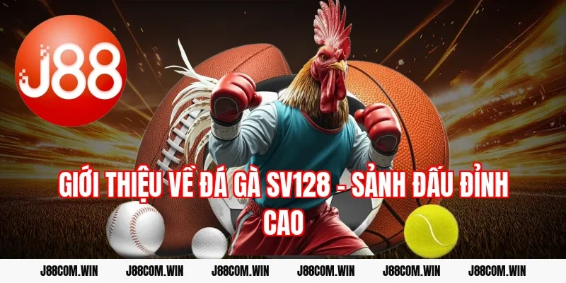Giới thiệu về Đá gà SV128 – Sảnh đấu đỉnh cao