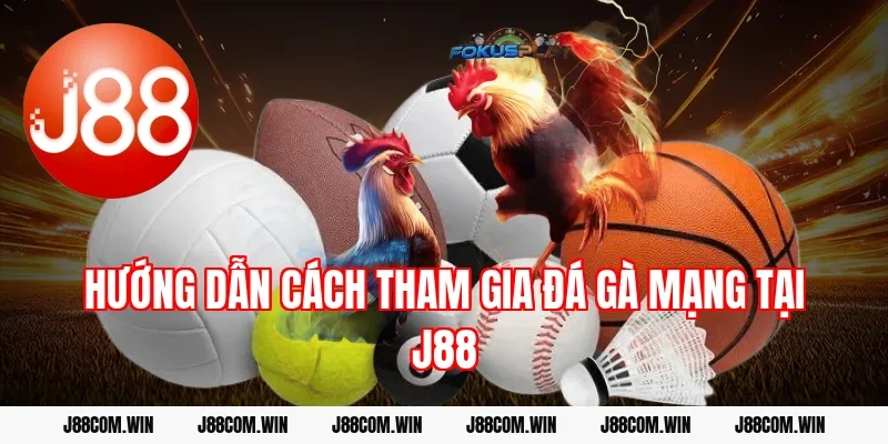 Hướng dẫn cách tham gia đá gà mạng tại J88