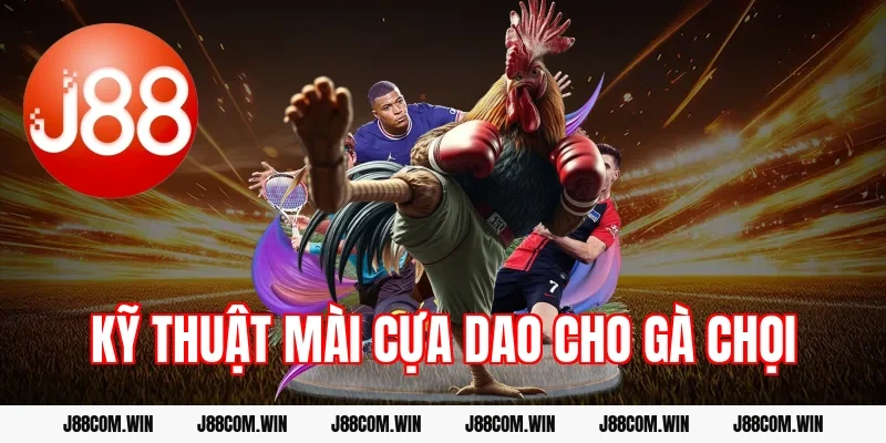 Kỹ thuật mài cựa dao cho gà chọi