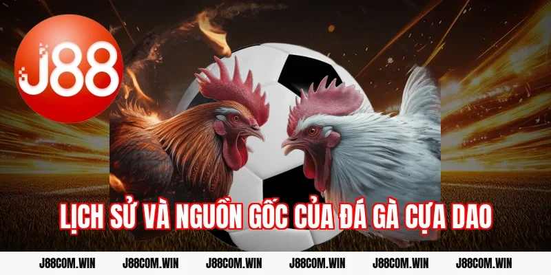 Lịch sử và nguồn gốc của đá gà cựa dao