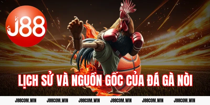 Lịch sử và nguồn gốc của đá gà nòi