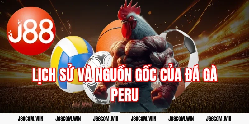 Lịch sử và nguồn gốc của đá gà Peru
