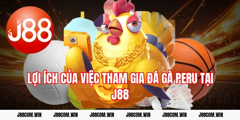 Lợi ích của việc tham gia đá gà Peru tại J88