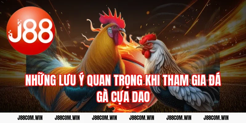 Những lưu ý quan trọng khi tham gia đá gà cựa dao