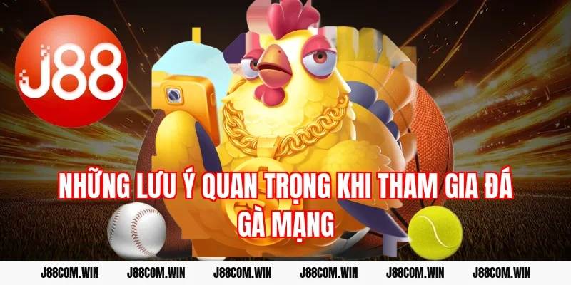 Những lưu ý quan trọng khi tham gia đá gà mạng