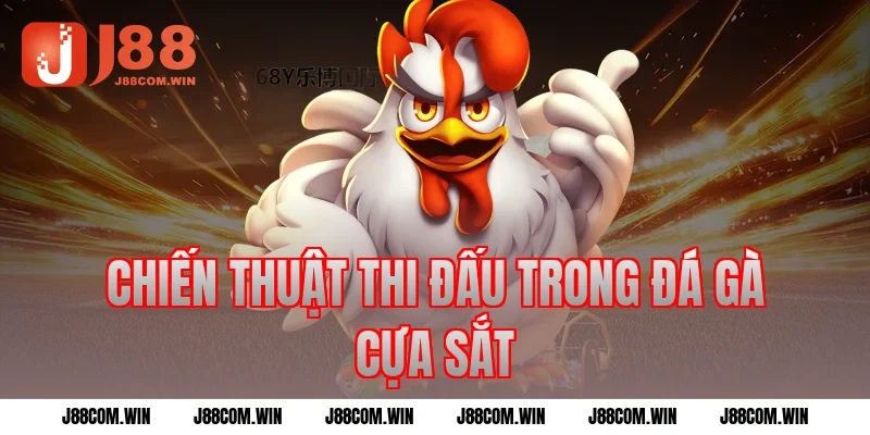 Chiến thuật thi đấu trong đá gà cựa sắt
