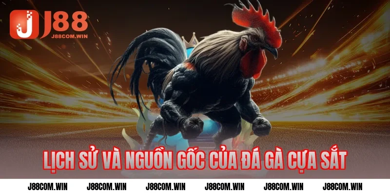 Lịch sử và nguồn gốc của đá gà cựa sắt