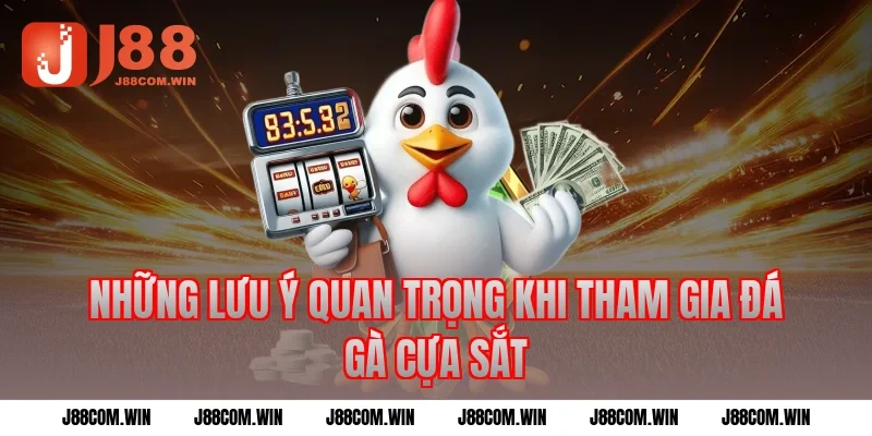 Những lưu ý quan trọng khi tham gia đá gà cựa sắt